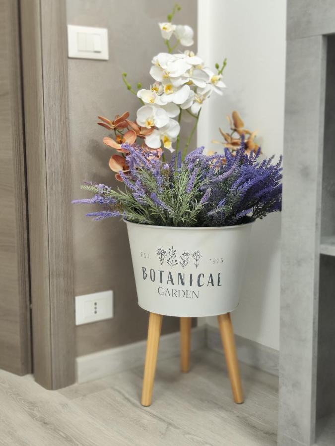 Sempione Apartment ไลนาเต ภายนอก รูปภาพ